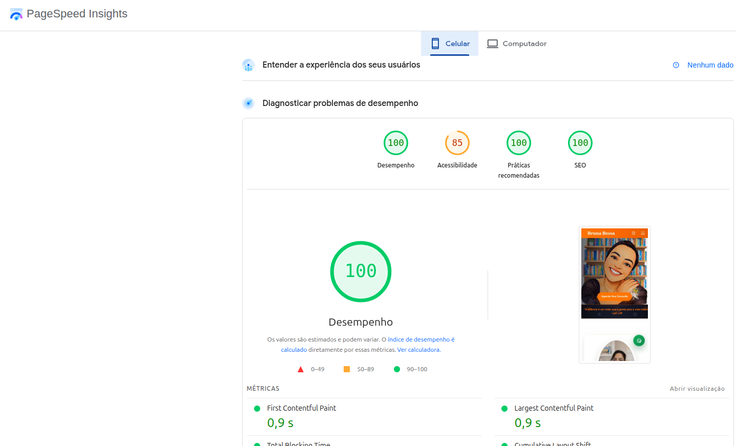 PageSpeed Insights — brubspsi.com.br: Performance mobile 100, SEO 100, Boas práticas 100